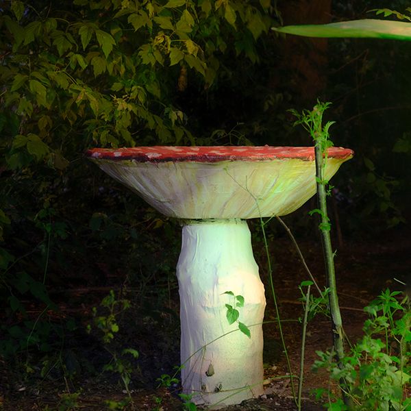 a sculptural toadstool lit up at night