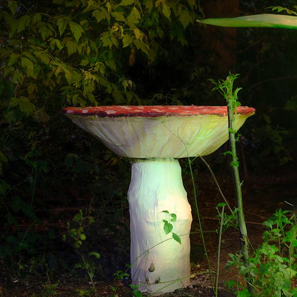 a sculptural toadstool lit up at night