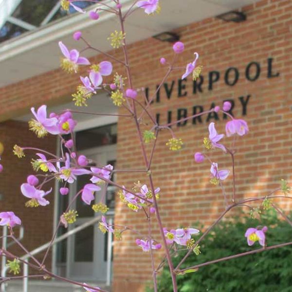 the front of the liverpool public library new york in summer