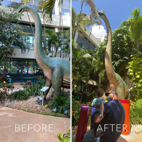 image showing before and after colorful outdoor drums were installed next to a large dinosaur sculpture in the palm beach children's hopsital music garden