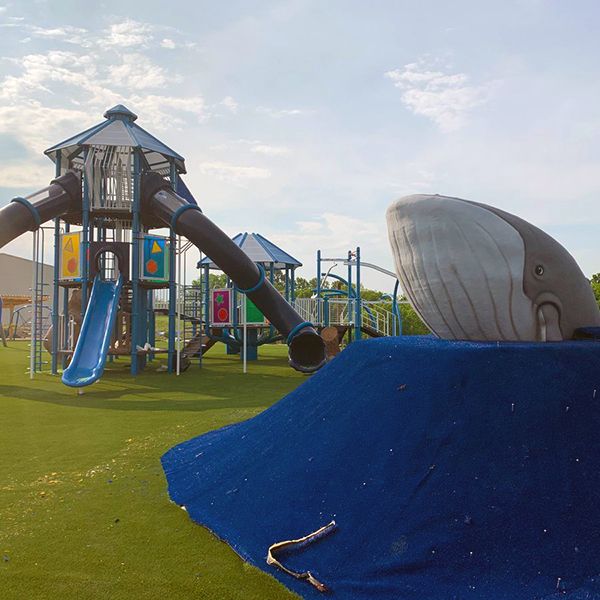 Image of the climbable whale from the new playground at the Ark Encounter Family Attraction 