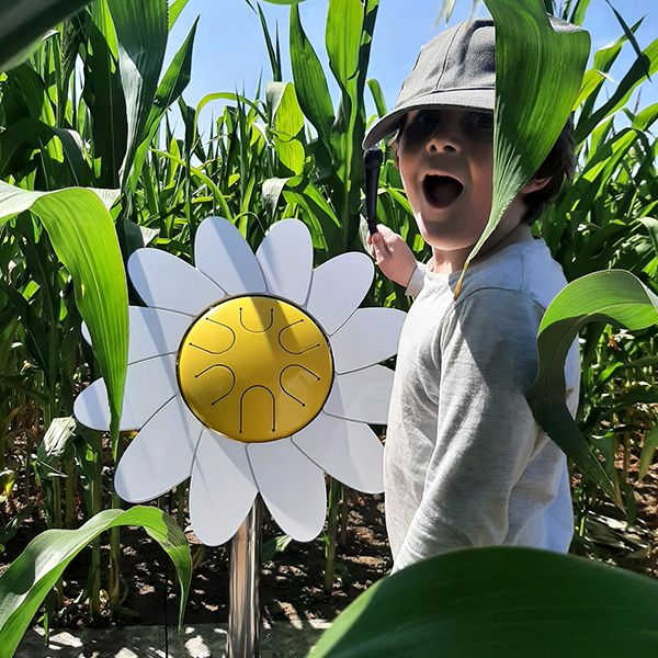 a boy in a cornfield playing a large outdoor musical instrument which is a daisy shaped drum