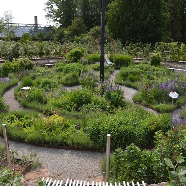 circular sensory garden in castle grounds with large outdoor musical instruments amongst plants