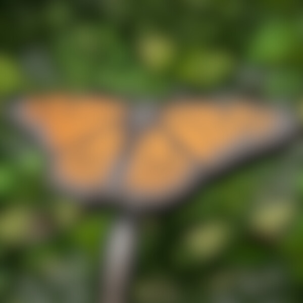 Blurred Image For New Outdoor Musical Instrument Reveal