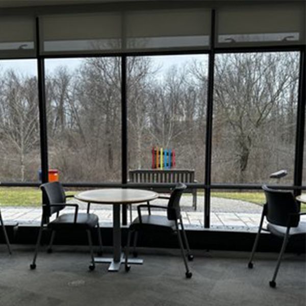 image of the view out of a window looking at outdoor musical instruments in a library garden