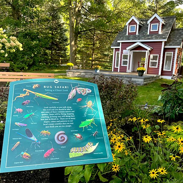 A sign giving names of bugs a insects in a garden