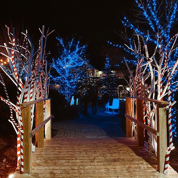 Christmas Lights Trail at Blue Mountain Village