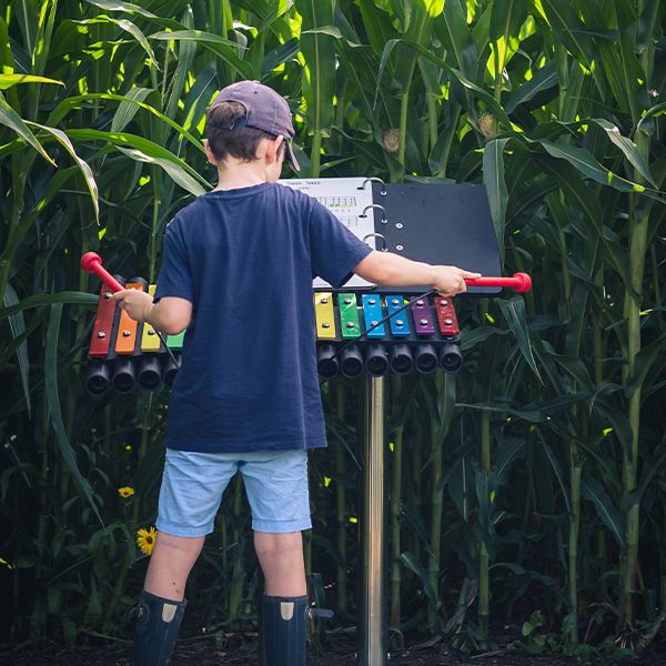 a large outdoor xylophone with rainbow colored keys being played by a young boy in a cornfield