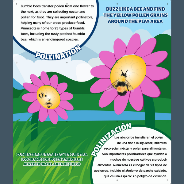 info graphic showing how the bee pollinates the flowers on the playground