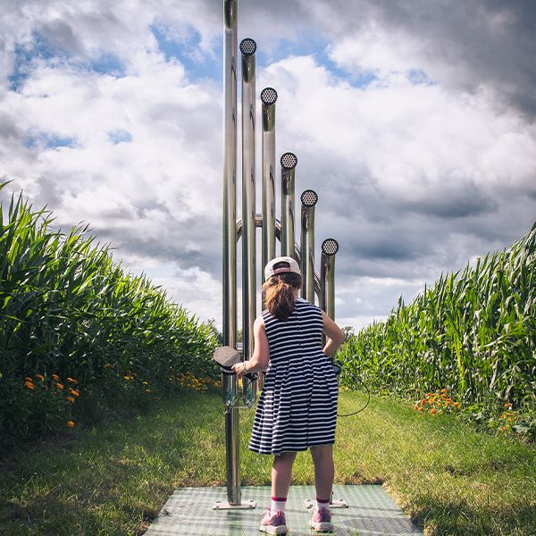 the back of a young girl in a cornfield playing an outdoor musical instrument called Tembos made of six long pipes mounted on a stand