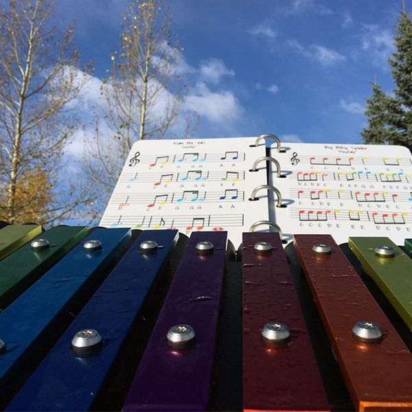 close up image of the rainbow coloured musical notes on the outdoor cavatina xylophone in the Quinterra Legacy Musical Garden