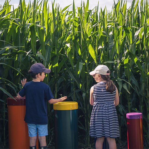 image showing the back of two young children while they play a set of five colored outdoor drums