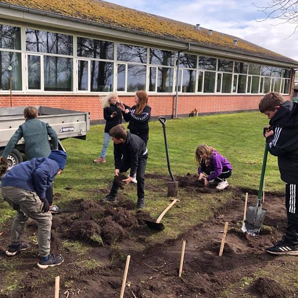 a group of school children removing turf in their school playground ready for new outdoor musical instruments