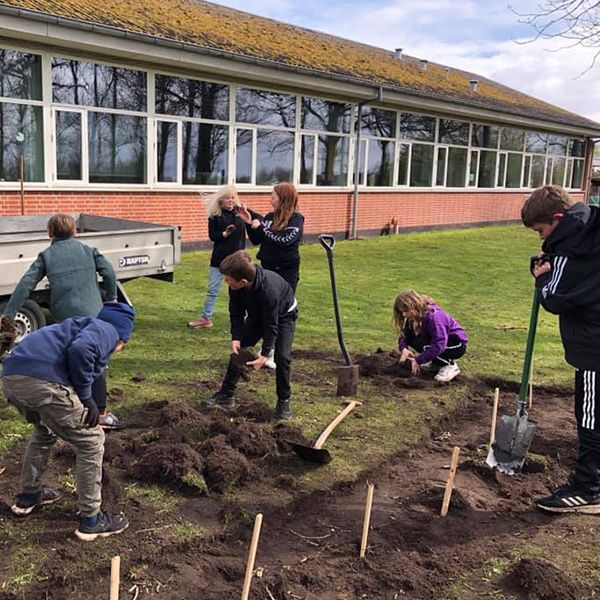 a group of school children removing turf in their school playground ready for new outdoor musical instruments