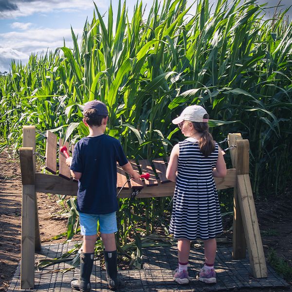 a large wooden outdoor xylophone being played by two young children