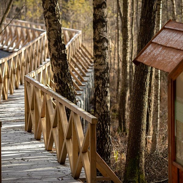 the wooden walkway at Sirvetos Regional Park Lithuania