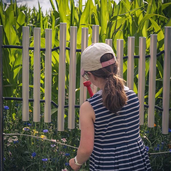 showing the back of a young girl playing an outdoor set of chimes in a cornfield