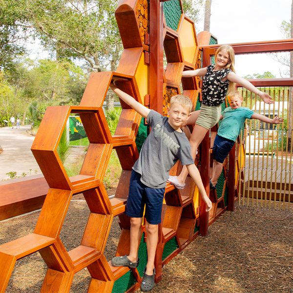 children climbing on a play structure shaped like honey combe at the Florida Botanical Gardens