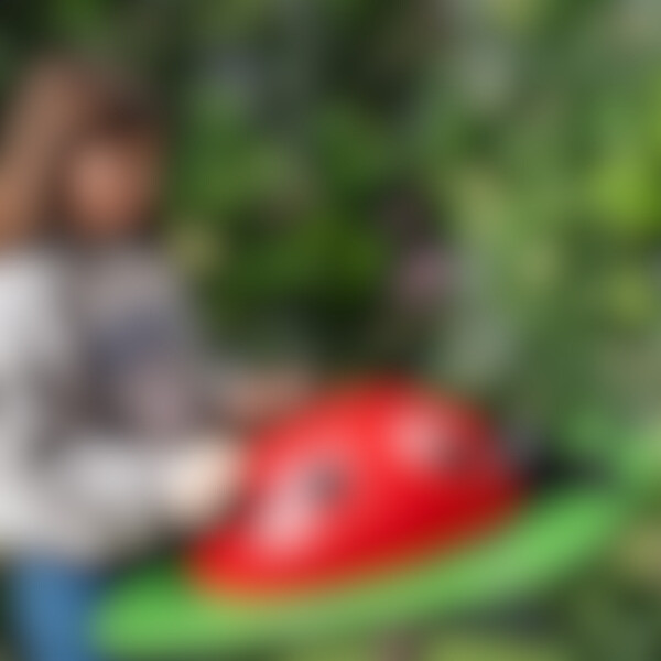 Blurred Image For New Outdoor Musical Instrument Reveal
