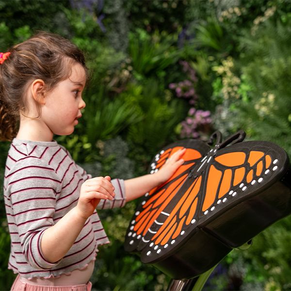 Introducing Our 2026 Inspired by Nature Outdoor Music Collection