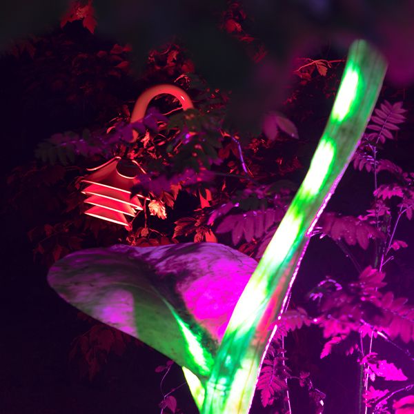 A musical flower bell in a sculpture garden lit up in red lights and purple lights